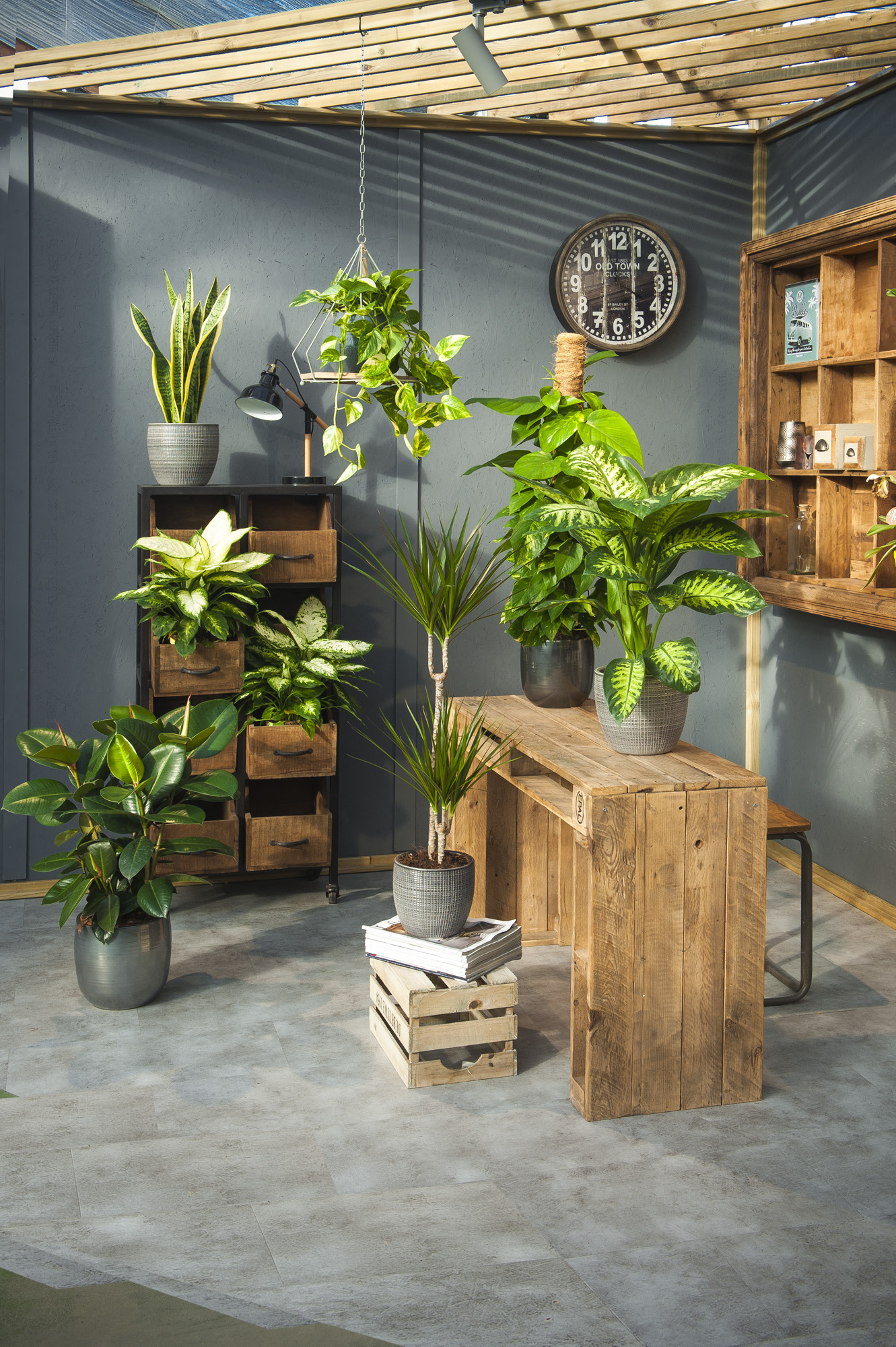 purificare-l'aria-di-casa-in-modo-naturale